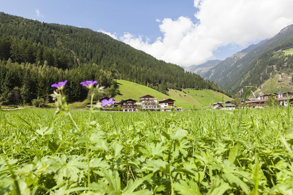 Gastehaus Kartnaller Neustift im Stubaital